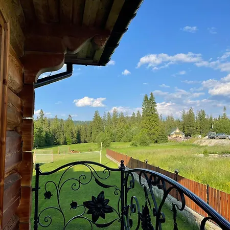 Homestay Plazowka